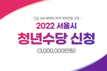 2022 서울시 청년수당